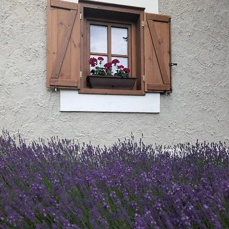 Сasa de vacaciones Thatched Dörgicse